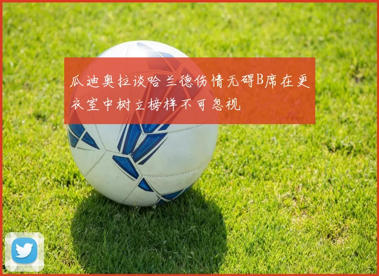 瓜迪奥拉谈哈兰德伤情无碍B席在更衣室中树立榜样不可忽视