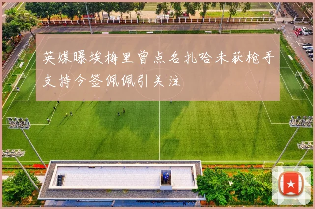 英媒曝埃梅里曾点名扎哈未获枪手支持今签佩佩引关注