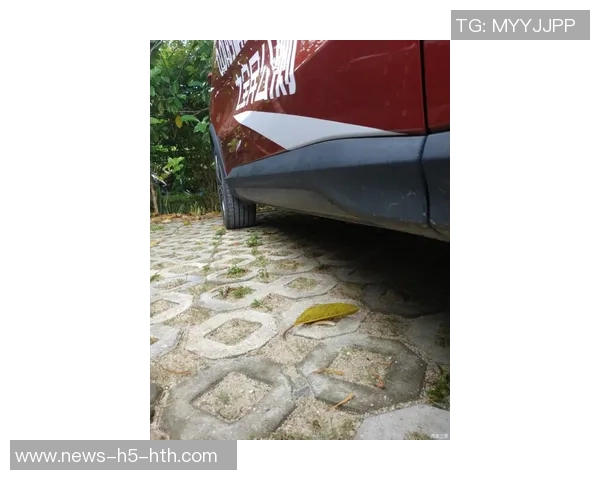 杨瀚森分享球迷日感受原本准备英文歌曲却暂时搁置 杨瀚森分享球迷日感受原本准备英文歌曲却暂时搁置